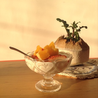 Overnight Oatmeal 隔夜早餐燕麦杯