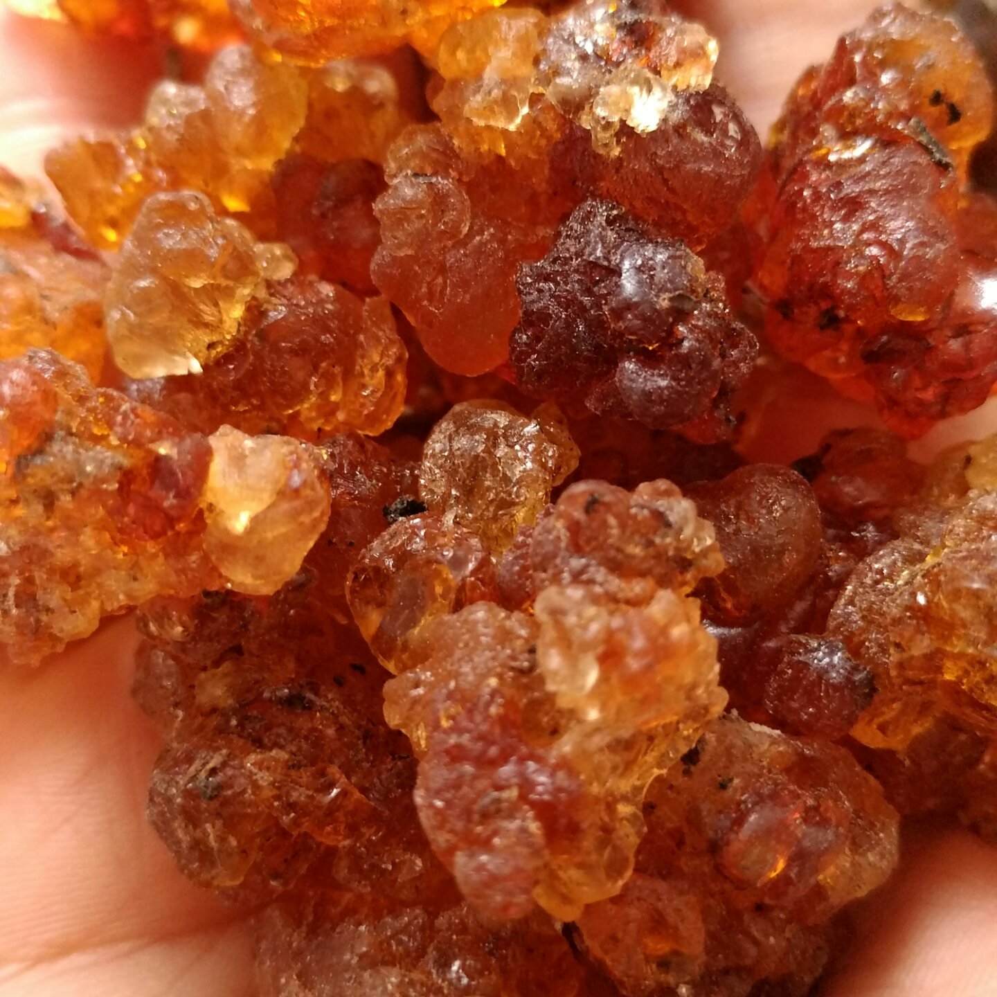 桃胶银耳红枣羹