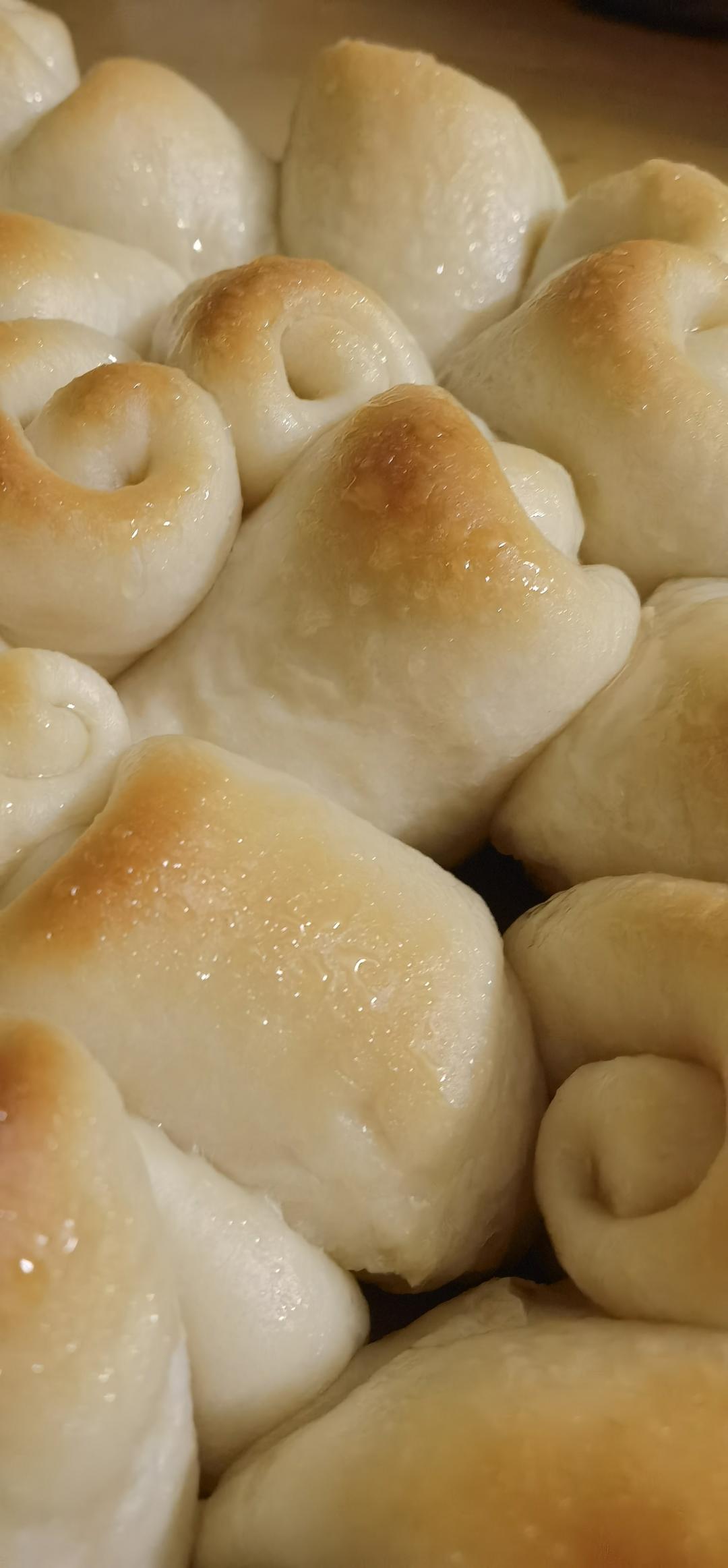 牛奶面包卷（直接法）