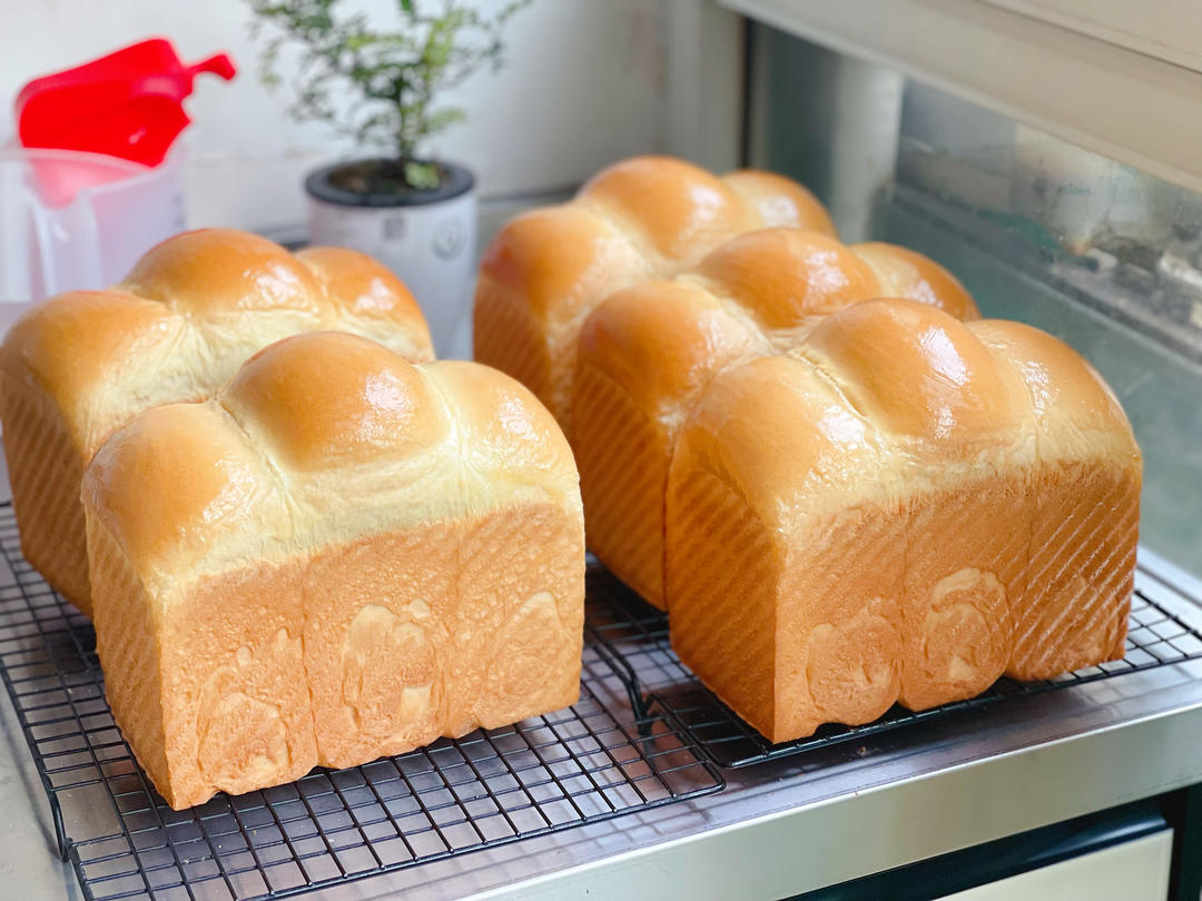 蛋清吐司（一次发酵、超级消耗蛋清）