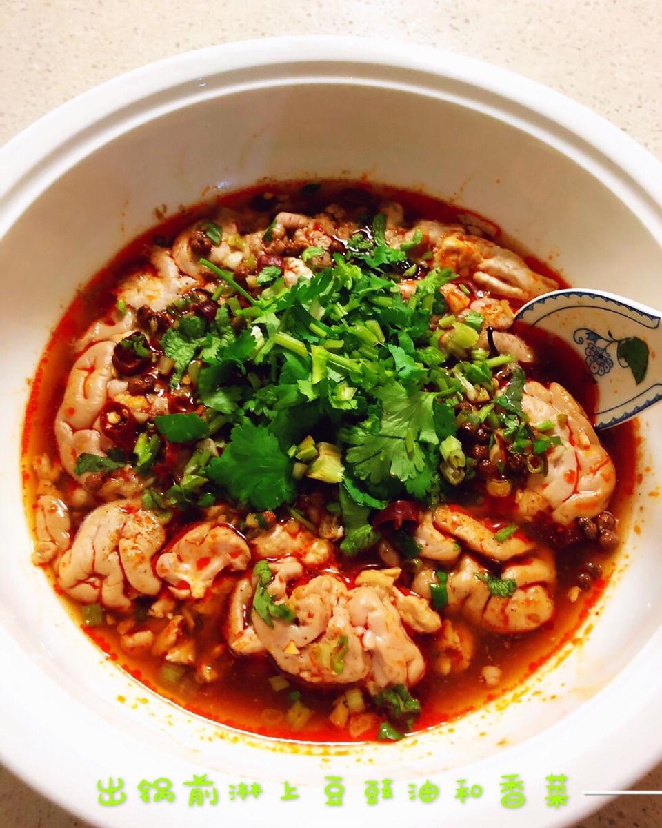 麻辣猪脑的全部作品