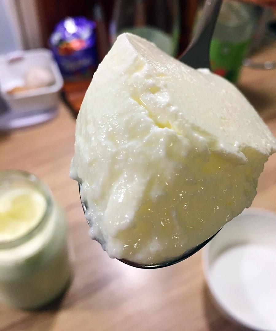 传统希腊酸奶（不用酸奶机，传统味道传统做法）痴迷健康的Ella