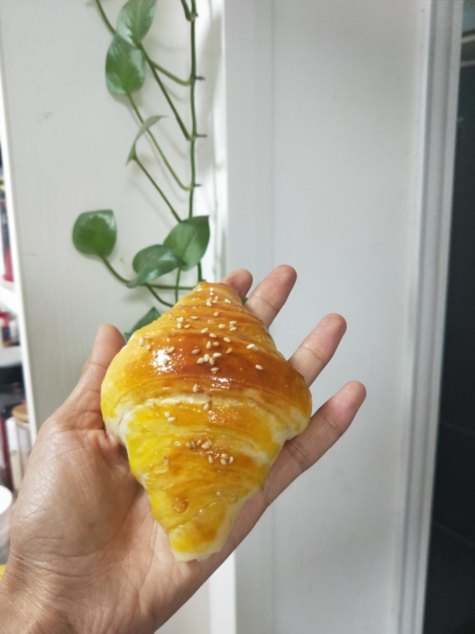 美食探索中