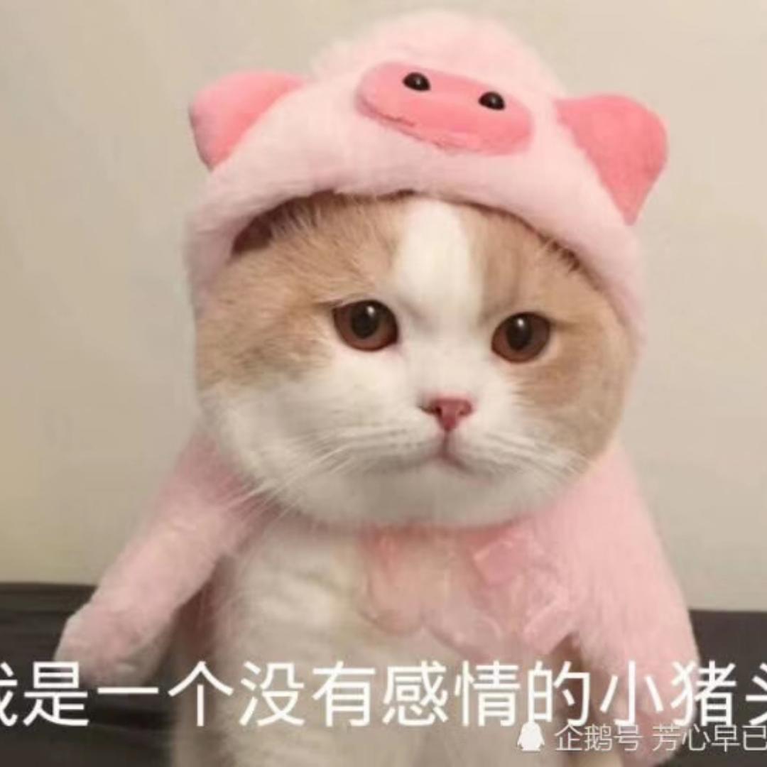 苏曼susan