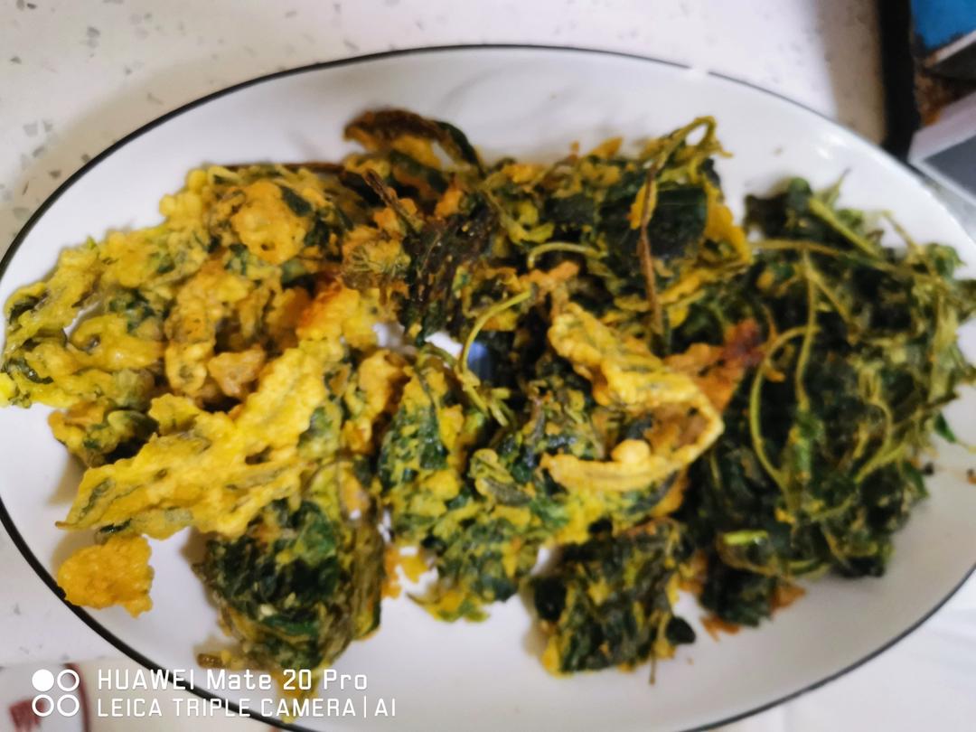 炸香椿（超详细的炸香椿鱼）