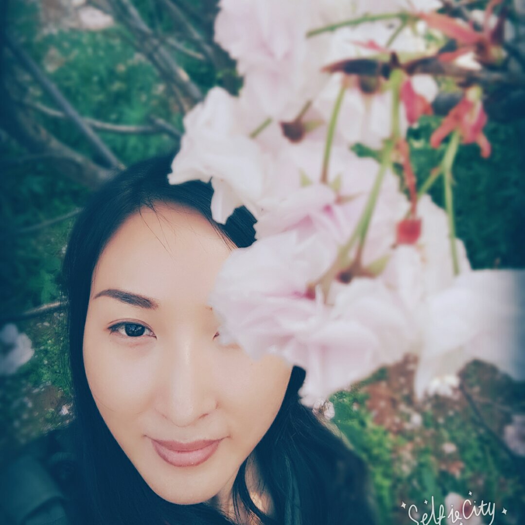 菲上帝