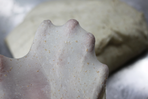 燕麦全麦面包，外面脆脆的里面绵软的，热量还很低的做法 步骤5
