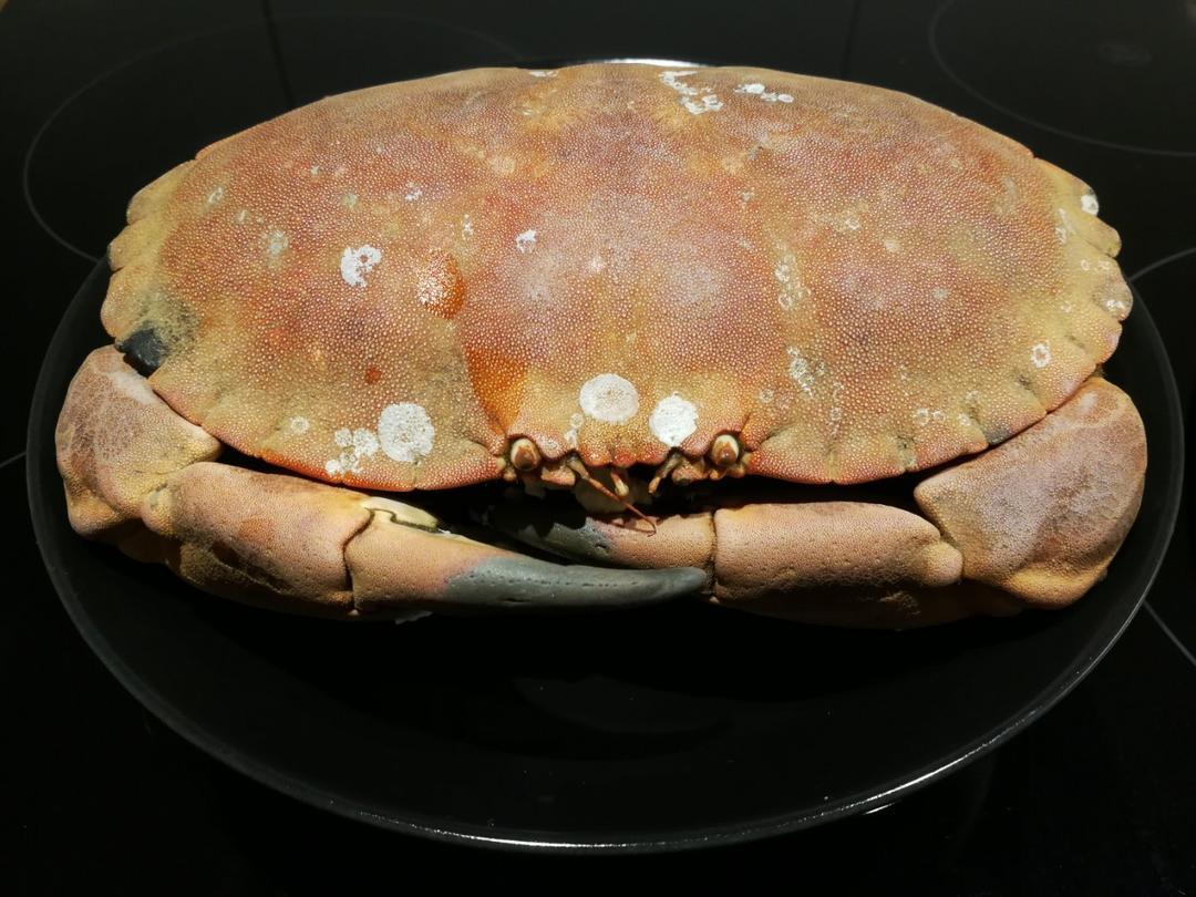 清蒸面包蟹