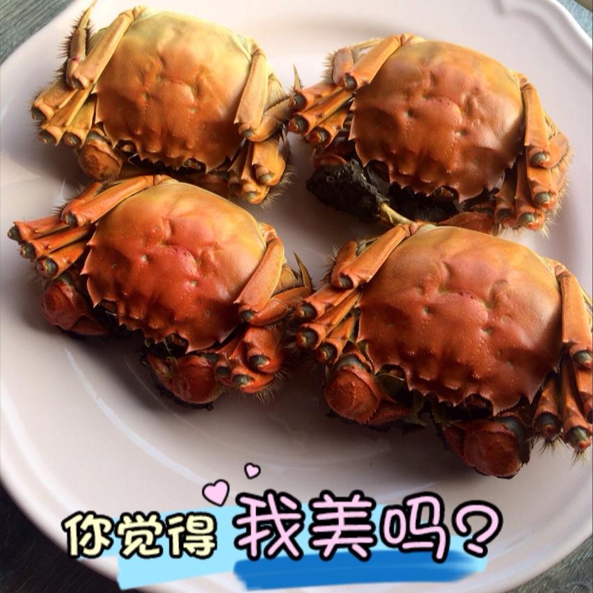 清蒸螃蟹
