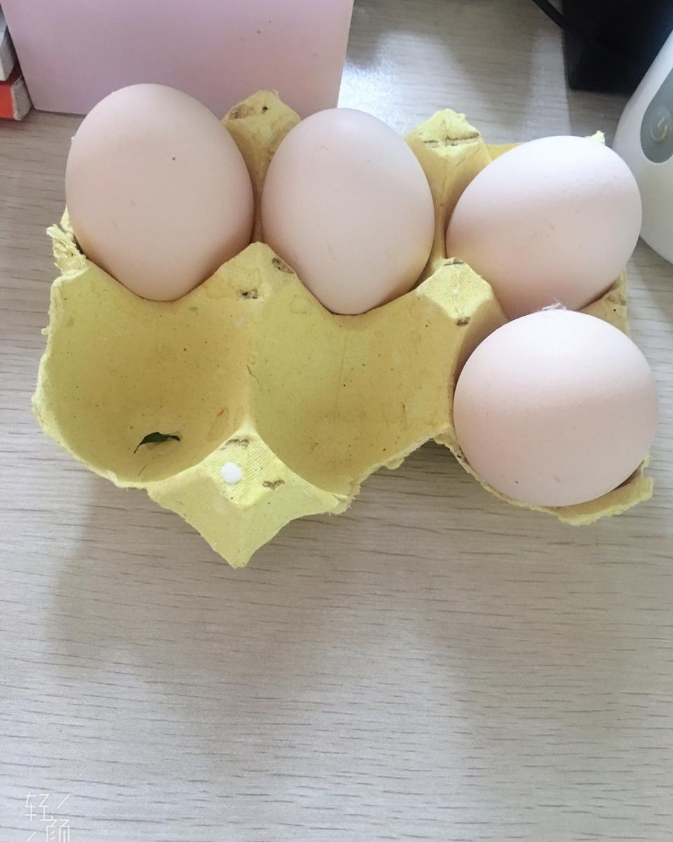 6、8、10寸原味戚风胚