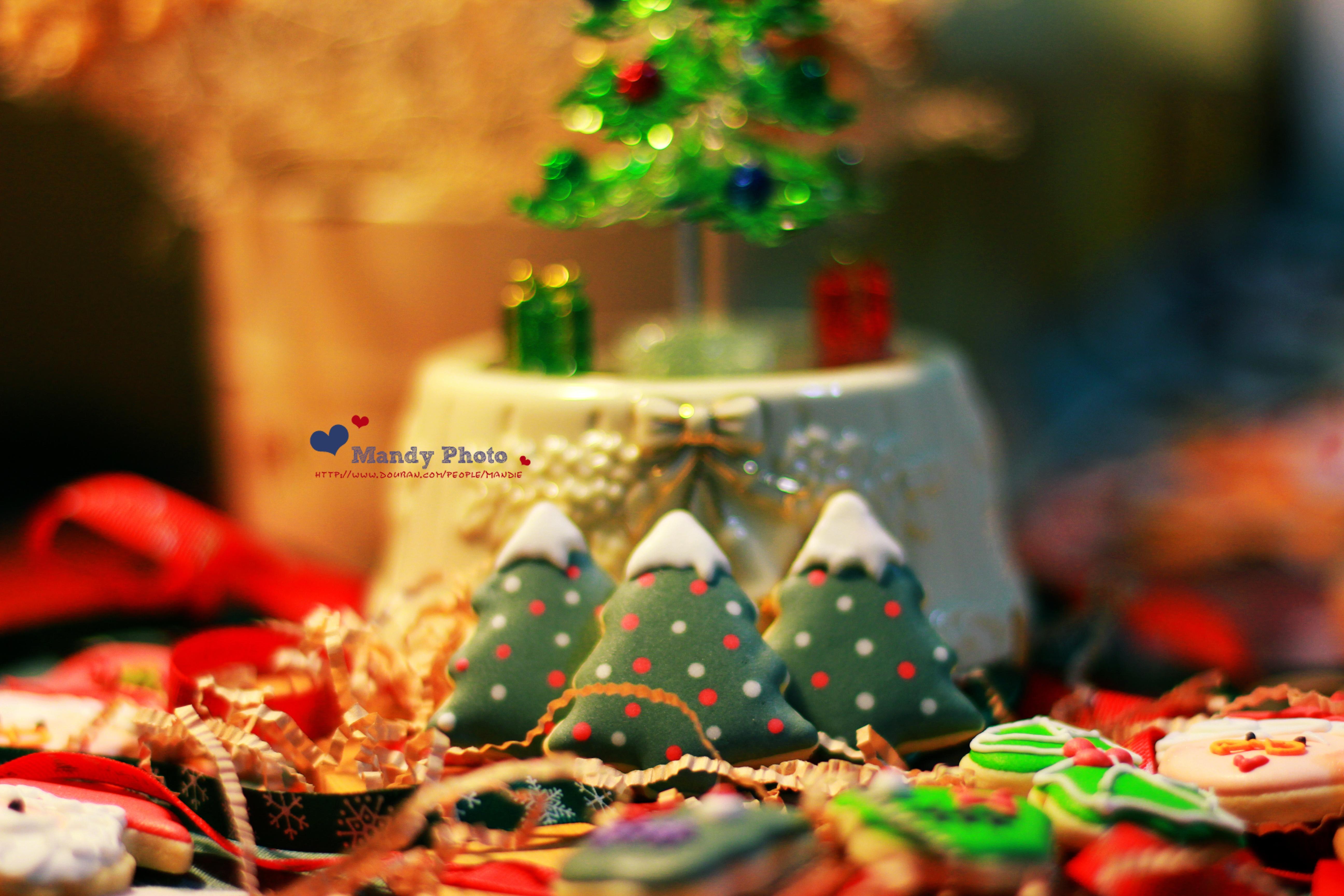 2013年圣诞甜心－糖霜圣诞树饼干(*^_^*)