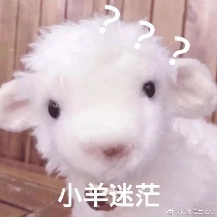 他知道风往哪个方向吹