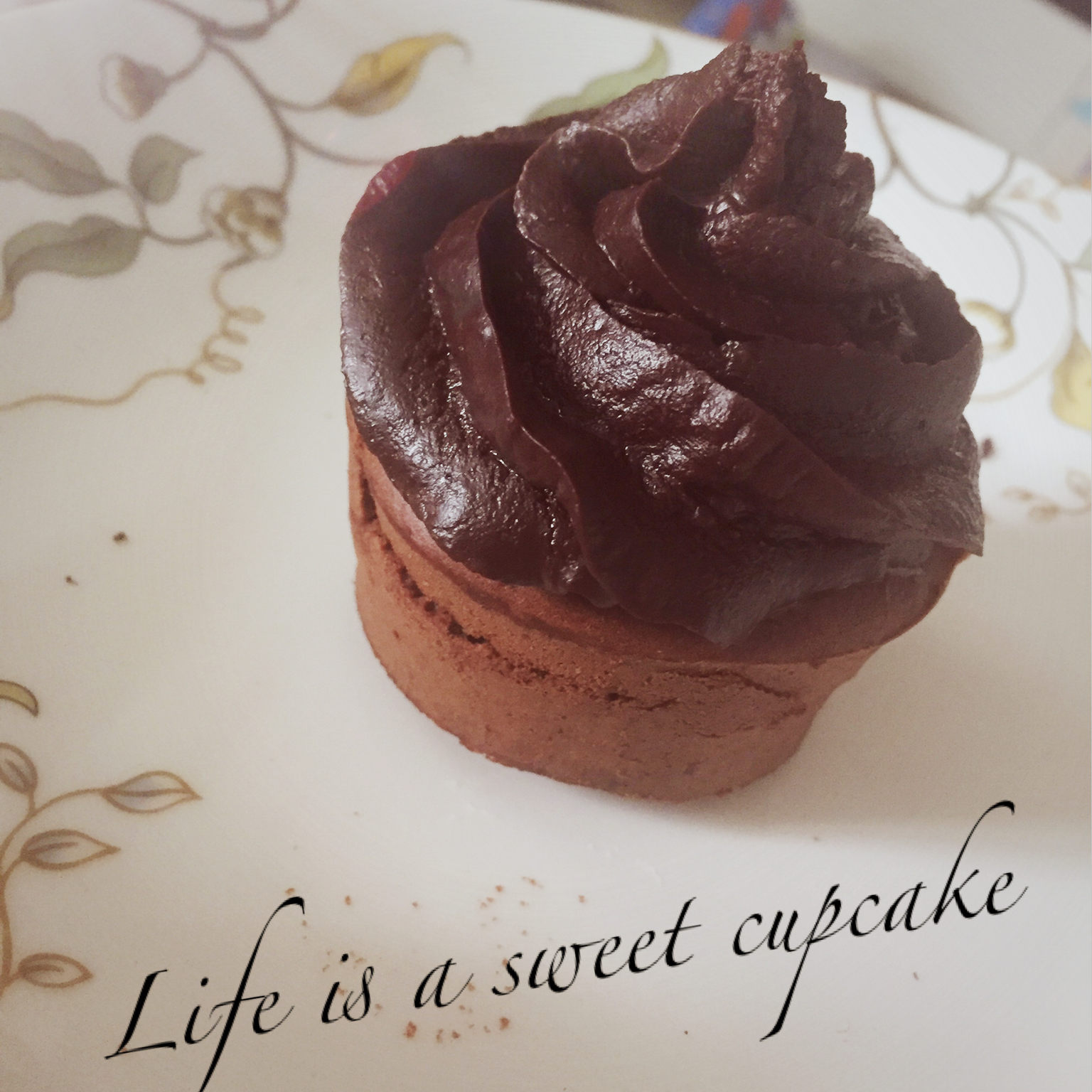 巧克力杯子蛋糕