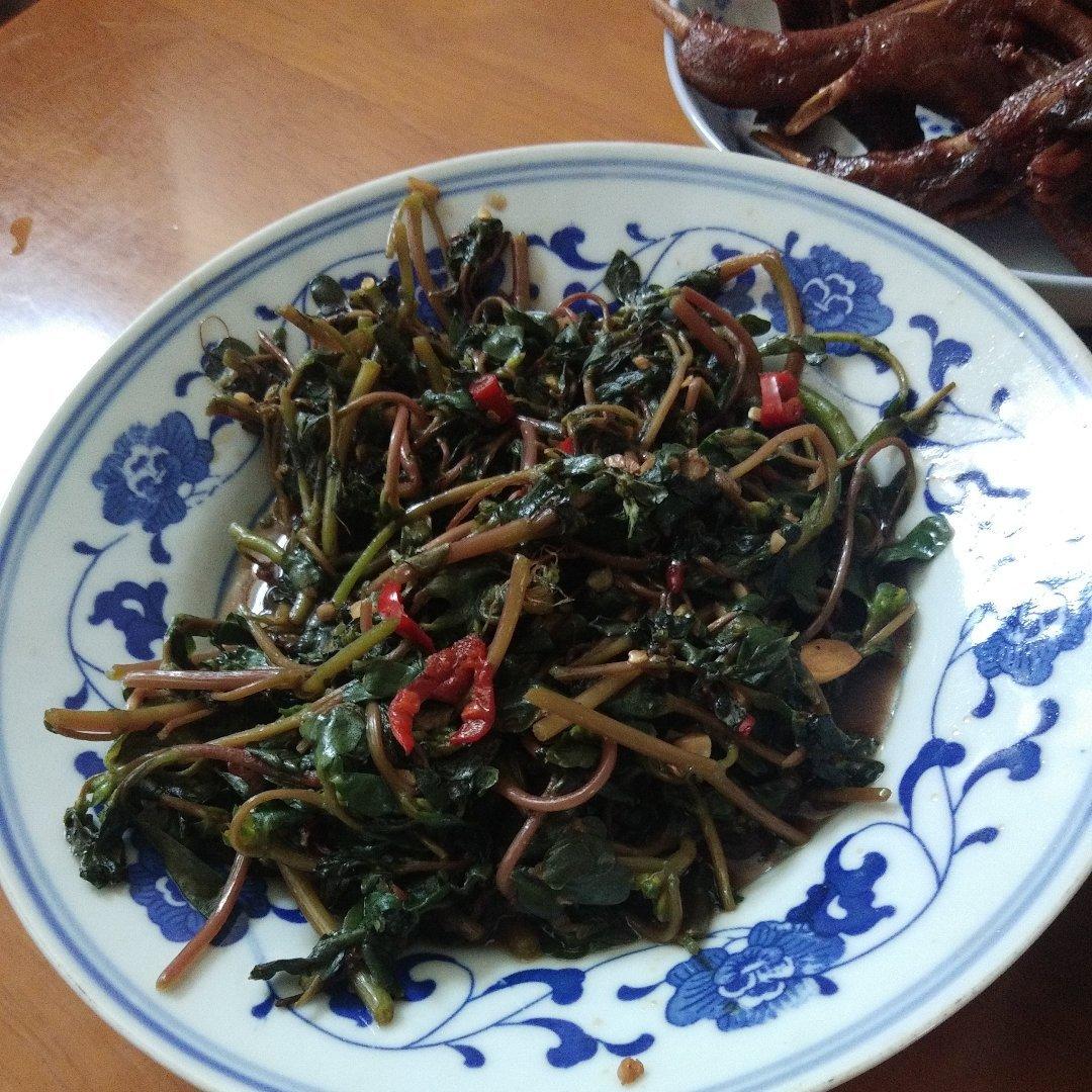 凉拌马齿笕