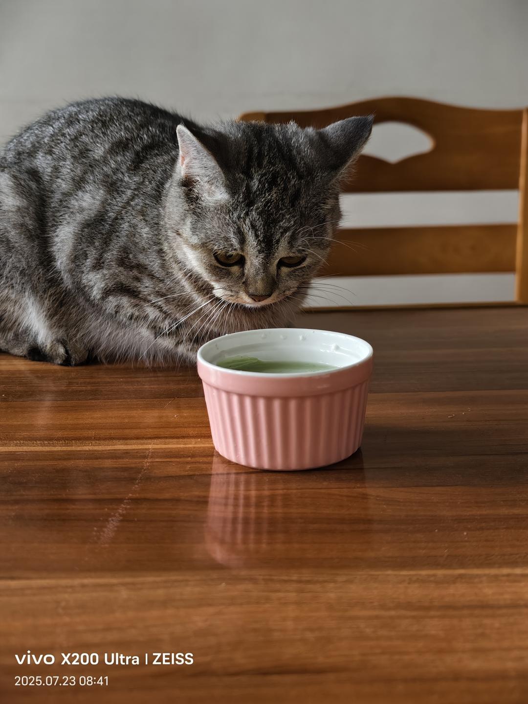0难度‼️三色地球奶冻🌍夏日甜品来袭❤️