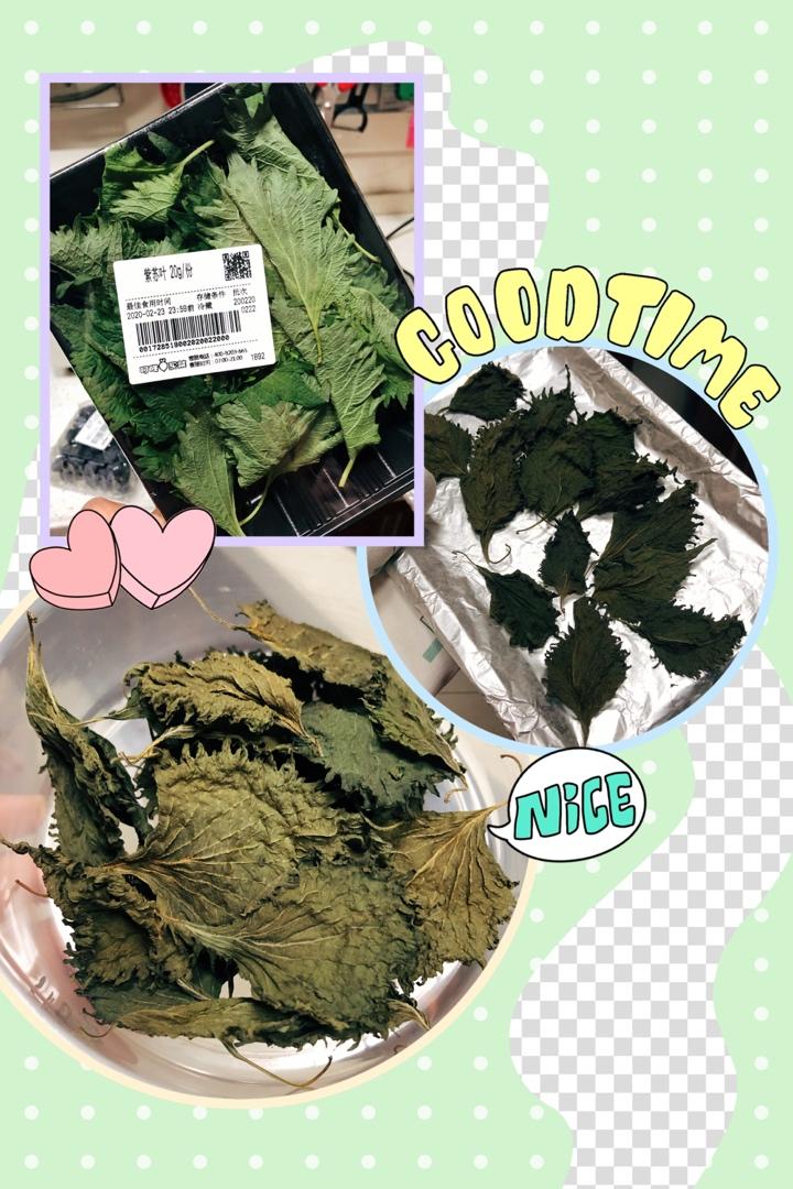 紫苏干叶的做法（烤箱脱水法）