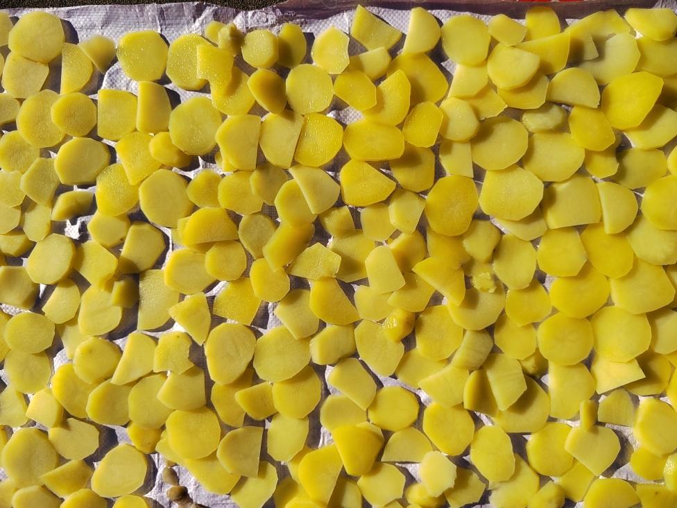 曬土豆干的做法 步驟12