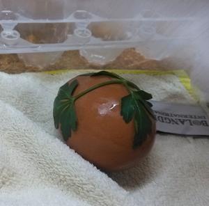 复活节彩蛋（пасхальные яйца）——俄罗斯留学必备的做法 步骤5