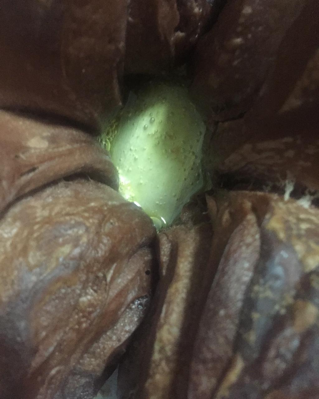 三里屯脏脏包-【附视频】