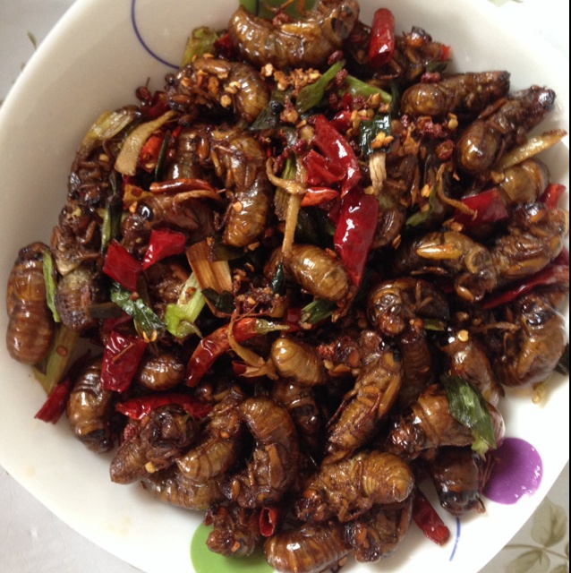 油炸金蝉