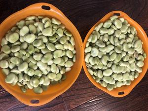 新鲜蚕豆储存记的做法 步骤2