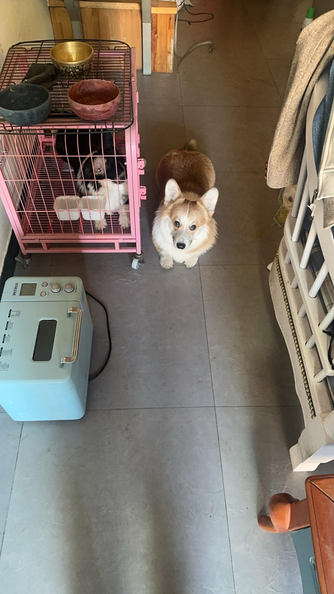 空气炸锅炸蘑菇的做法