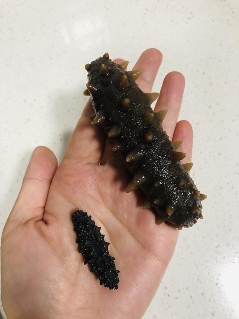 泡发海参的方法