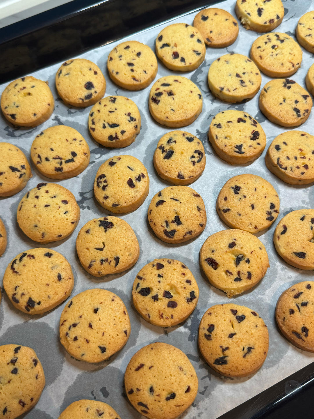 蔓越莓饼干 新手也不怕