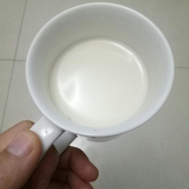 焦糖奶茶