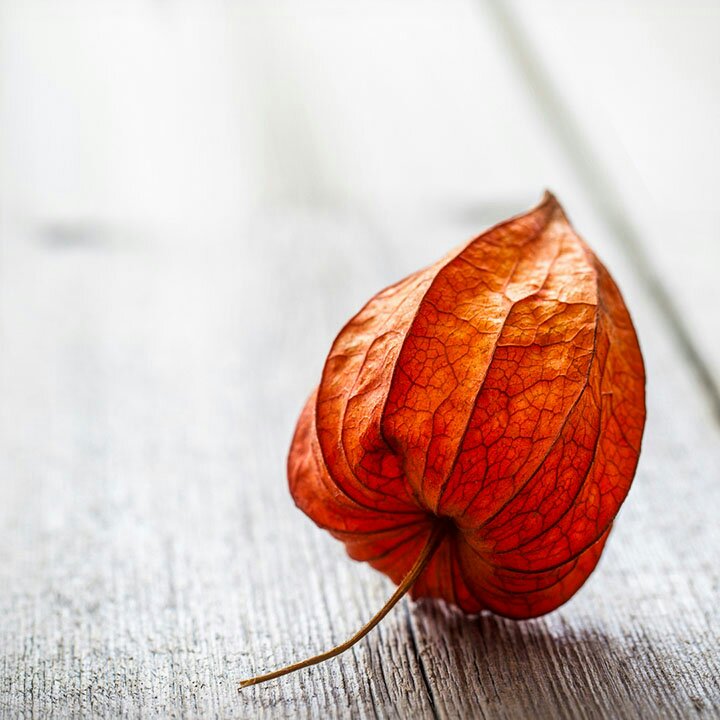 画楼西畔lc5f做的各种卖