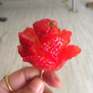 草莓玫瑰花