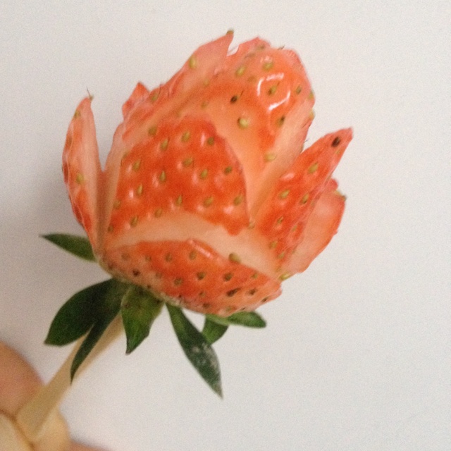 莎拉h89g做的草莓花朵
