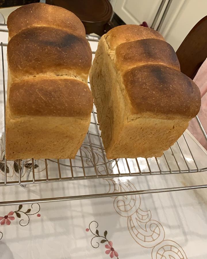 100%纯全麦吐司 汤种全麦