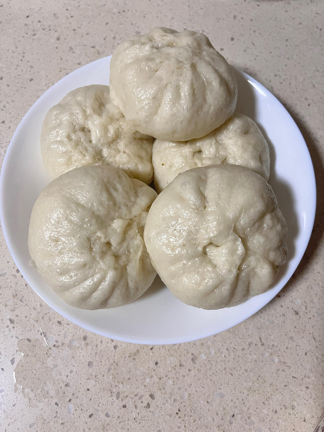 酱肉包子