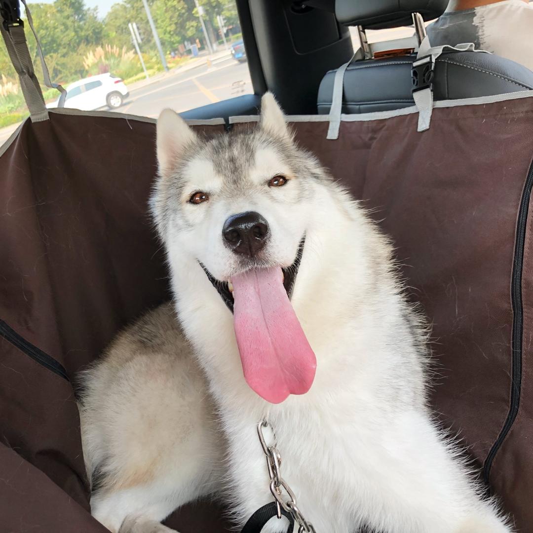 鱼和熊掌不可煎得