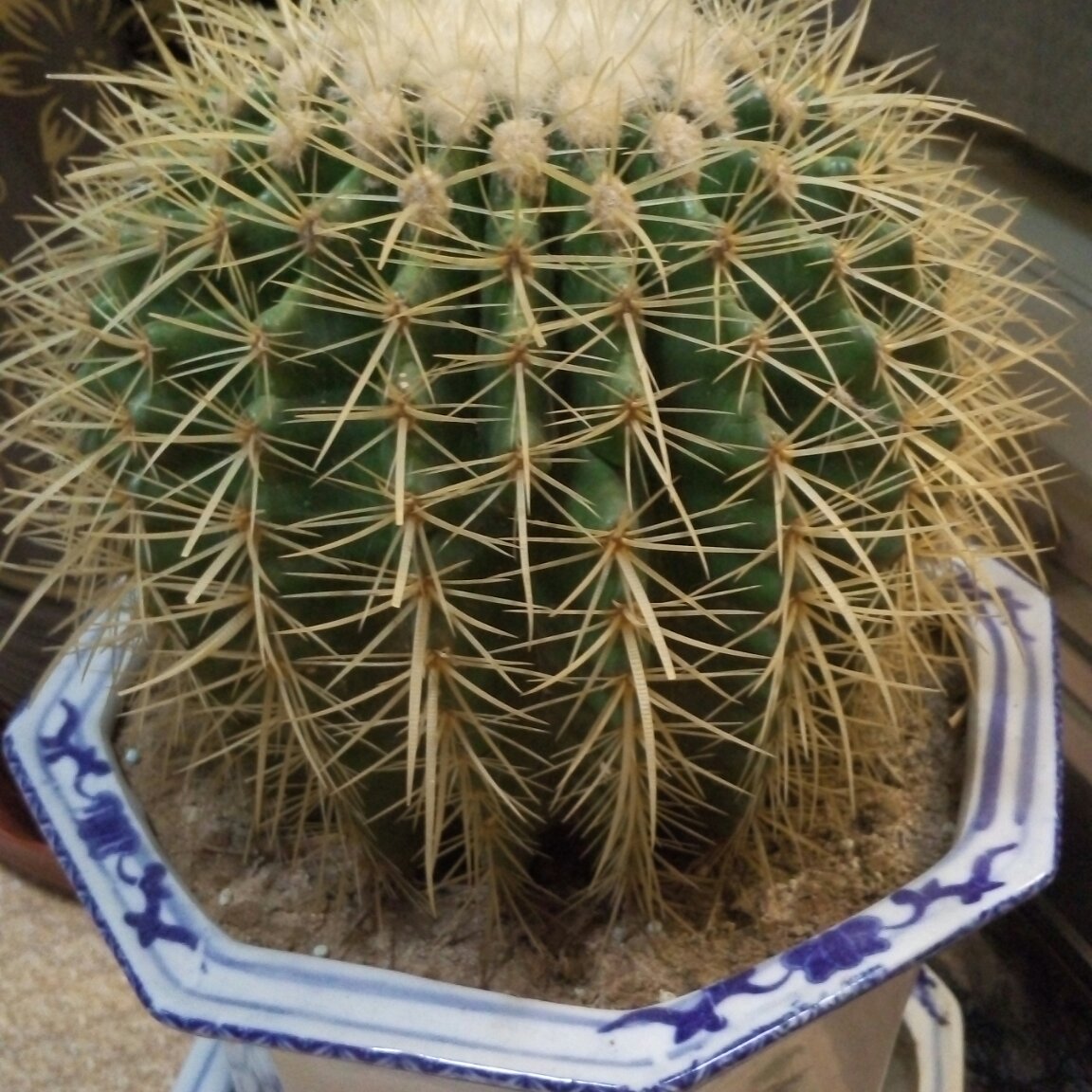 王战峰