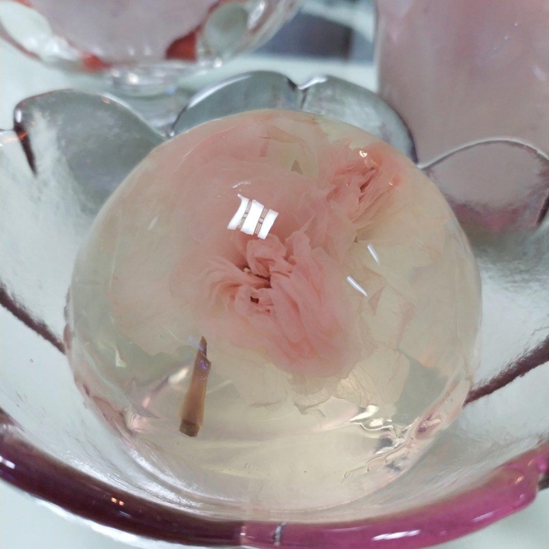 蘑菇菇-13深度中毒做的凉粉樱花果冻