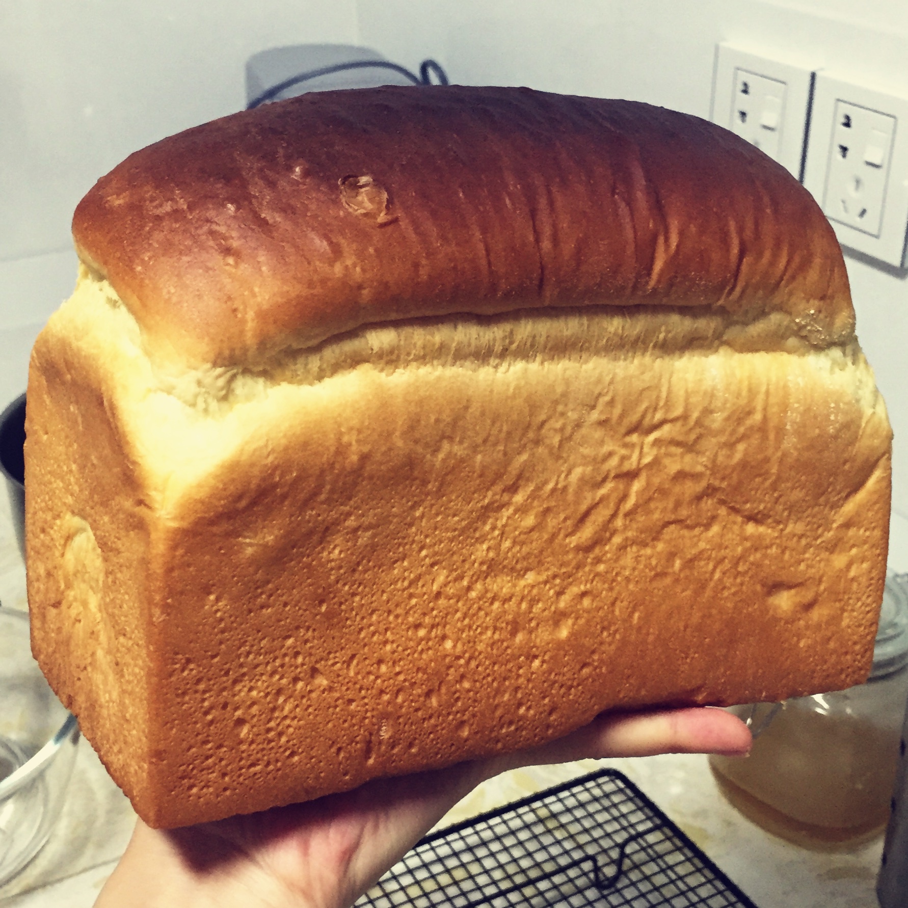 100%中种炼乳吐司