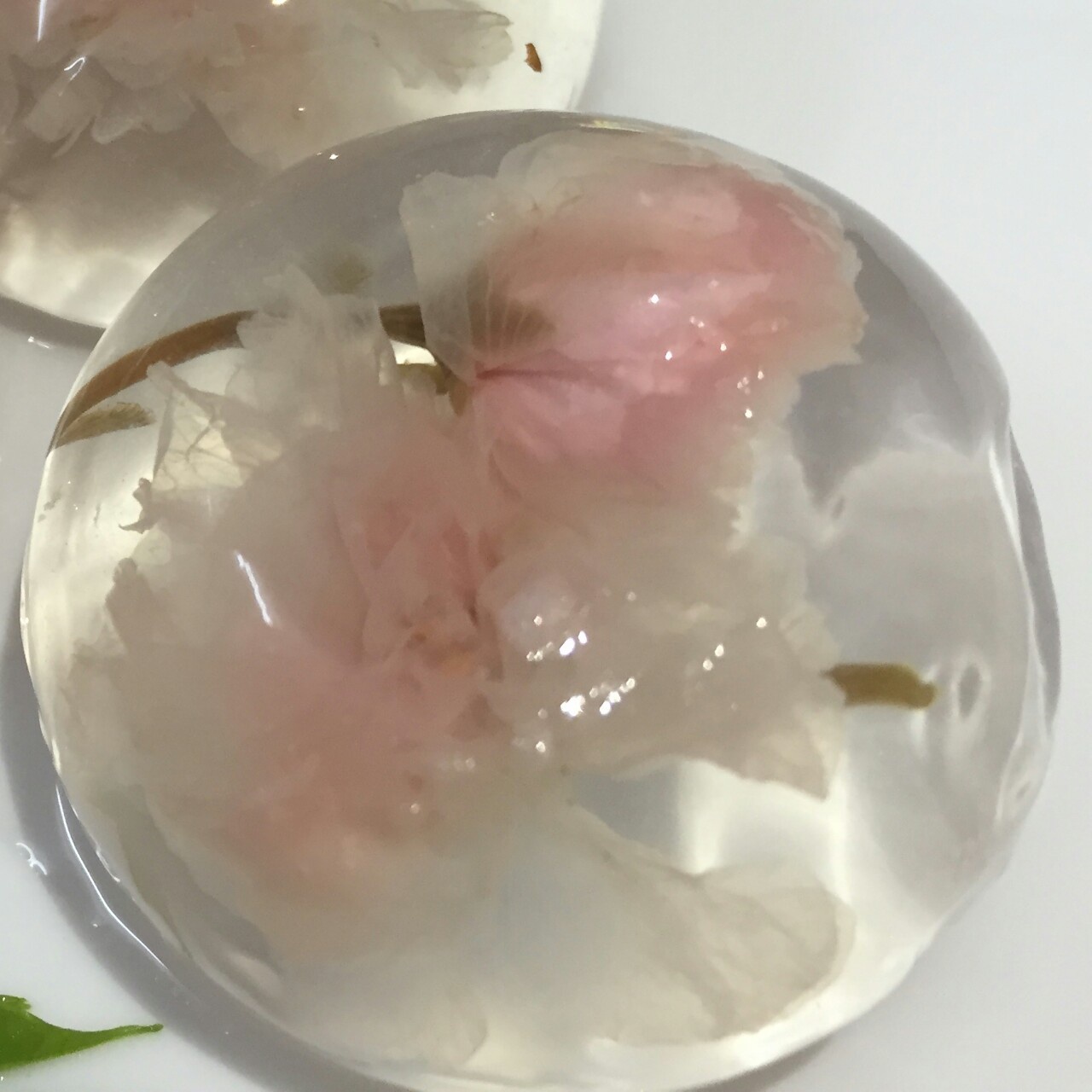 日本最温柔的梦幻和菓子 — 水信玄饼