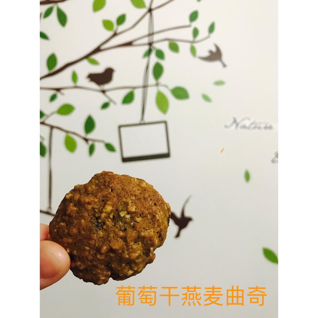 葡萄干麦片曲奇 Oats Cookies