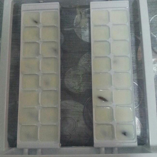 自制蓝莓酸奶冰块的做法