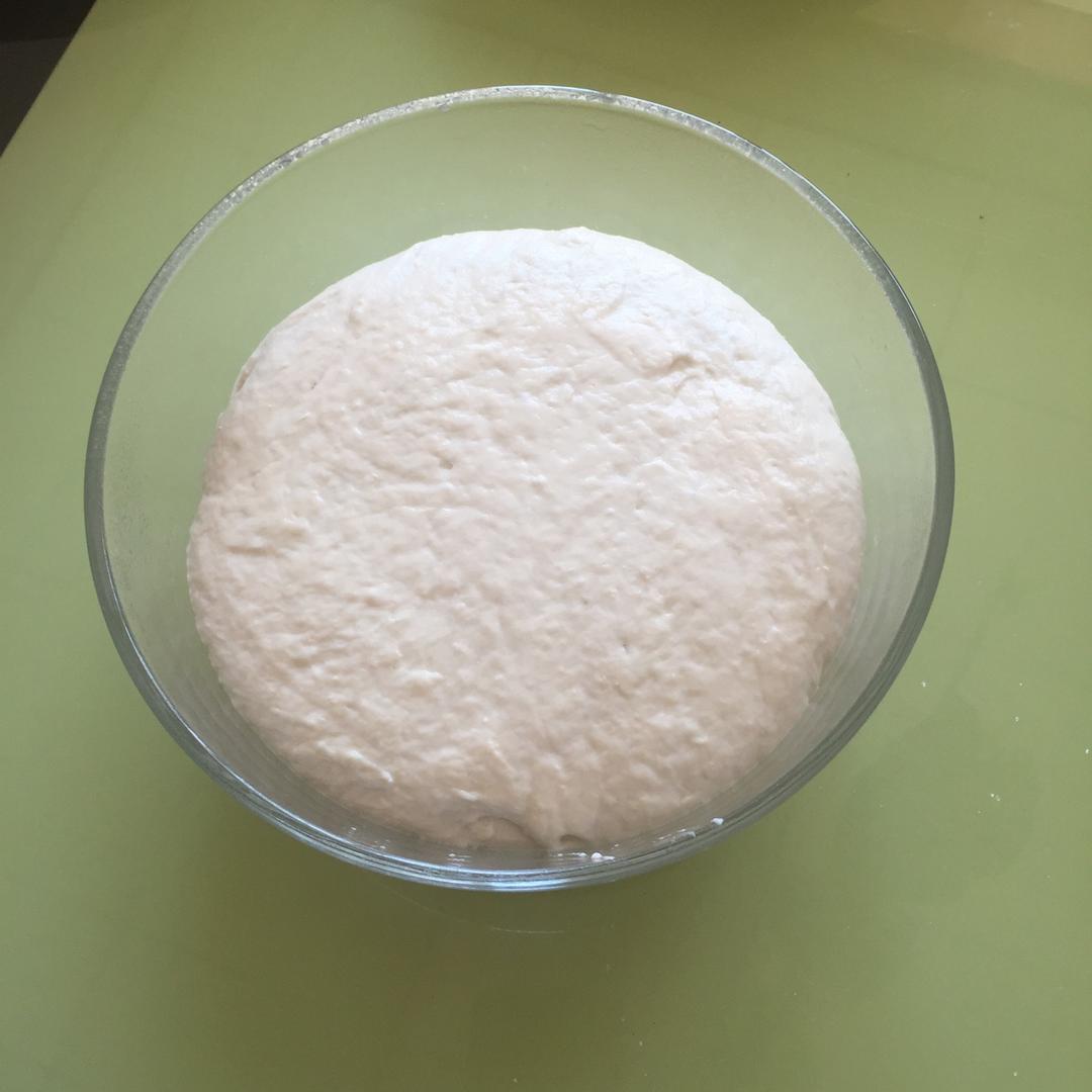 老面酵头 Bread Starter