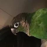 Mandy的