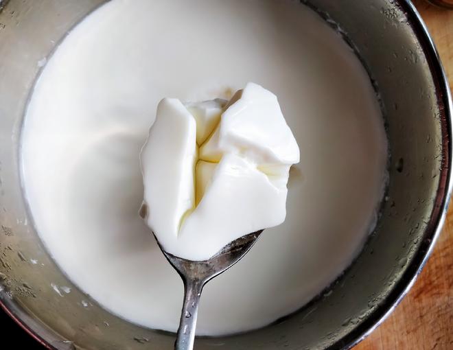 全脂纯牛奶做酸奶的做法
