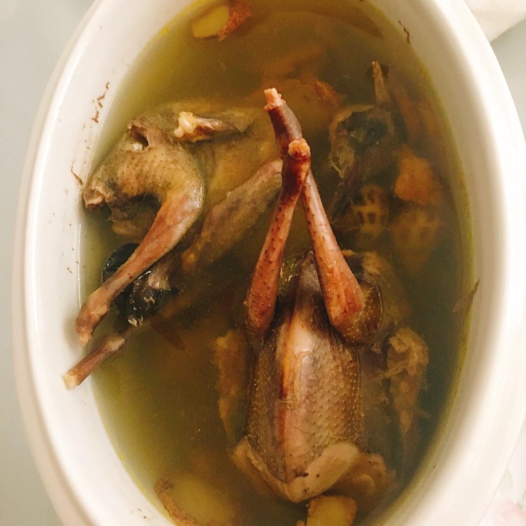 obeomov71做的鸽子汤