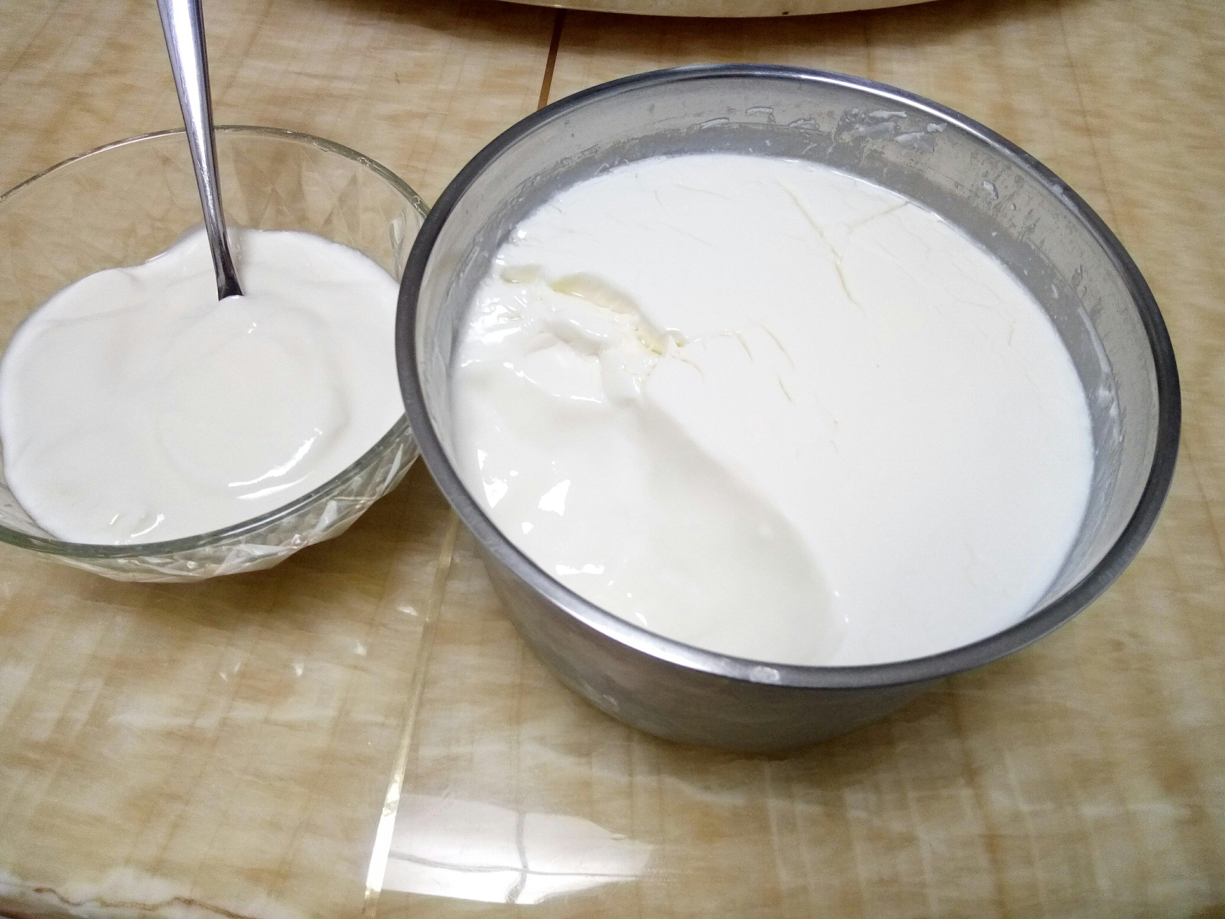 自制老酸奶（酸奶机版）