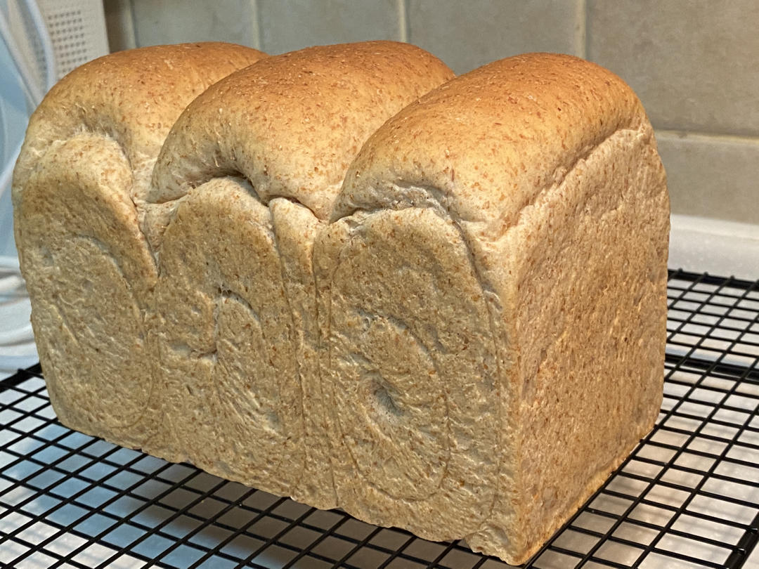 手揉全麦吐司🍞（轻松到哭泣的💧水合法）