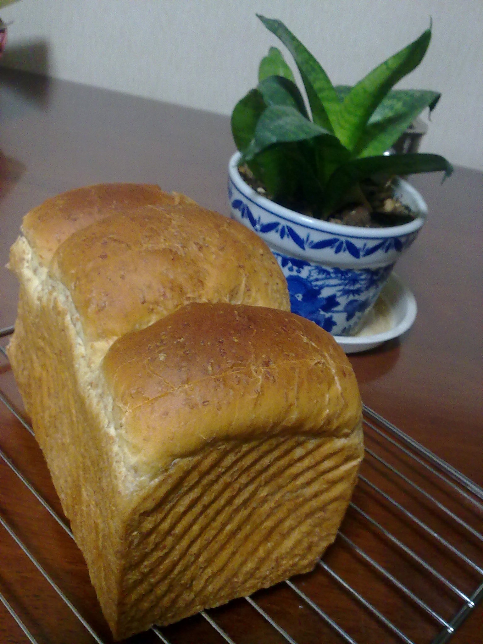 全麦吐司（含麸皮）