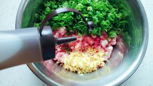 绿萝卜鲜肉水饺的做法 步骤5