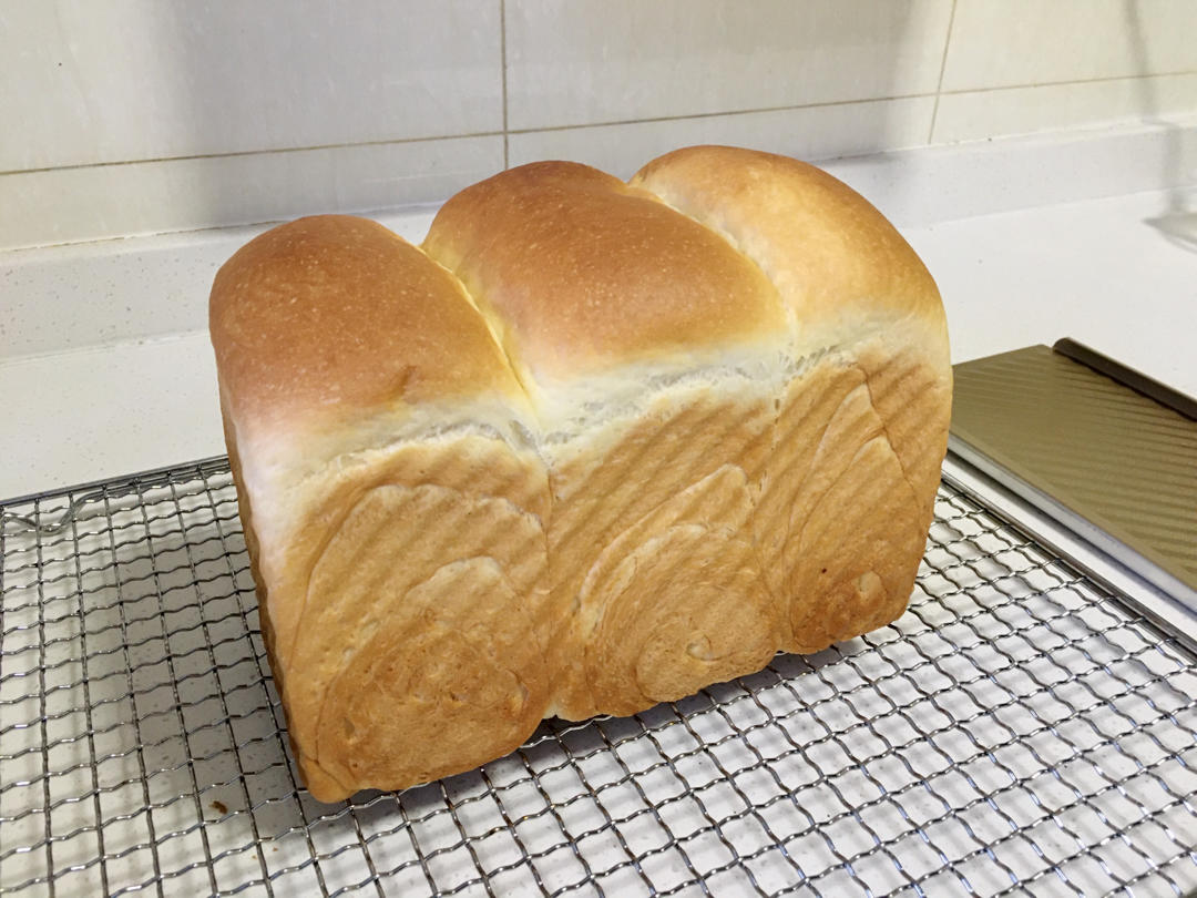 最好吃的牛奶吐司妃娟的100%中种北海道牛奶吐司奶油吐司